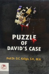 PUZZLE OF DAVID`S CASE